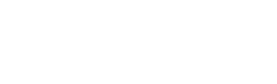 KERN Professionals